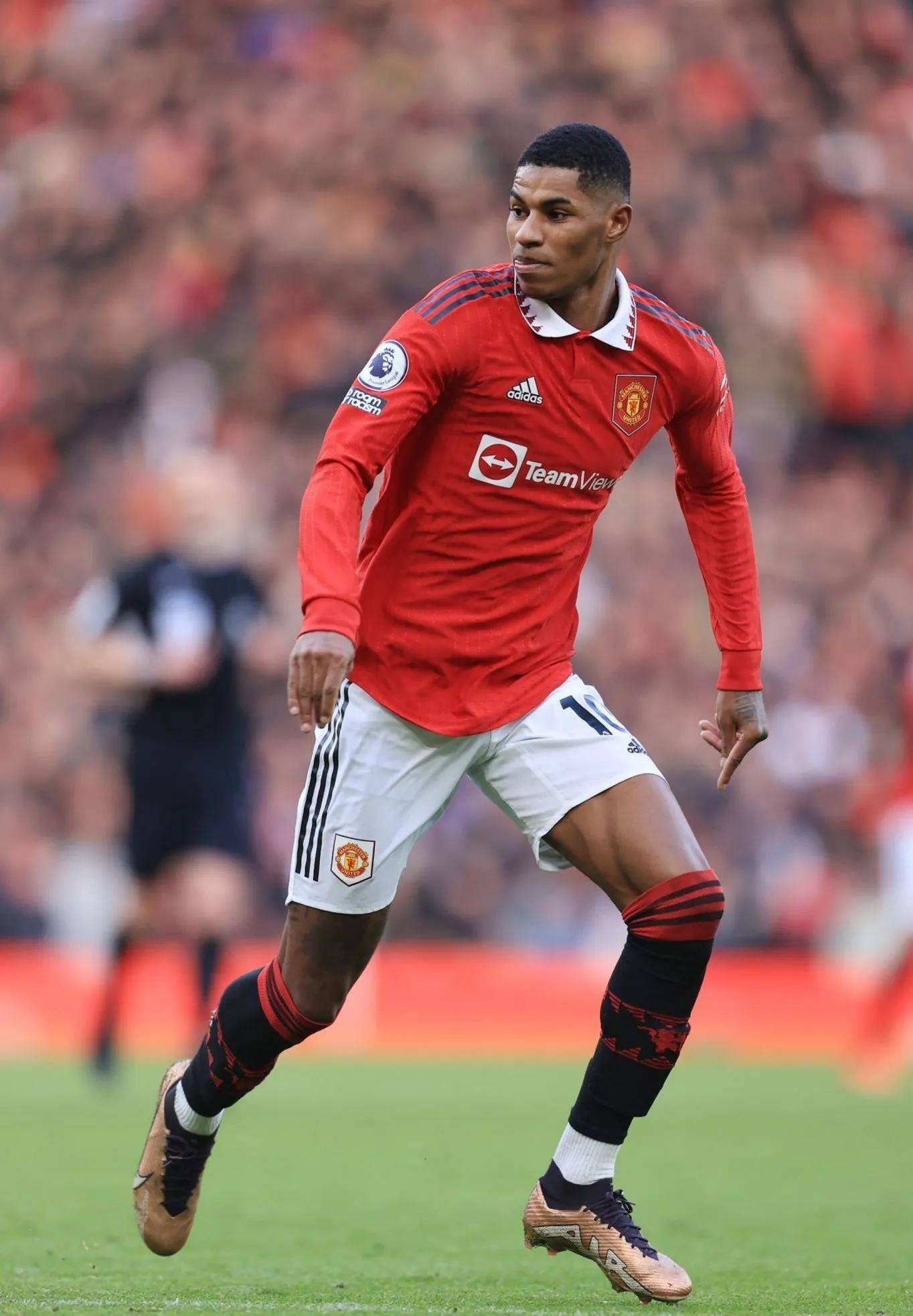 拔的意志 拔的意志